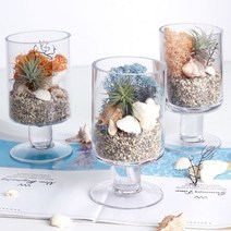 공기정화 천연 가습 DIY 테라리움 틸란드시아 이오난사 스칸디아모스, 피치, 일자스탠드 DIY