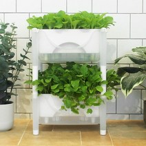 저면관수 플라스틱 대형 화분 상추 블루베리 키우기, 라운드저면관수1단 투명