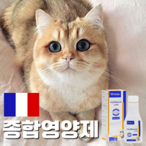 프랑스 명품 반려묘 전용 종합영양제 노령 아프고 밥 안 먹을 때 맛있는 소화 면역 프리바이오틱스 비타민 아미노산 미네랄 아연 글루타민 아르기닌 냉장보관 천연성분 NO 방부제 색소, 리퀴드 150ml
