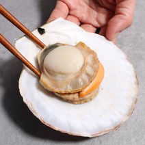내고향농수산 참 가리비 제철 대왕가리비 캠핑가리비구이 1kg, 생물 대왕 가리비 2kg, 1개