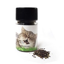 힐링타임 대용량 캣닢씨앗 10g_실중량 12~14g/고양이풀씨앗 캣그라스, 캣닢씨앗 10g