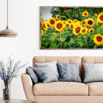 행운을담다 해바라기그림 돈들어오는그림 해바라기액자 집들이선물 개업식선물 3종, 재물을 부르는 해바라기 대형(37x58cm)