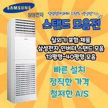 삼성전자 스탠드 냉난방기 냉온풍기 삼성전자 13평형 15평형 18평형 23평형 30평형 36평형 40평형, AP130RAPPBH1S (36평형) 기본별도 TD