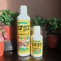 하이포넥스 리키다스 식물영양제 활력 제 칼슘 비료 발근제 석회 해거름 수산화 오스모코트, 160ml