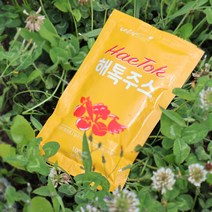 진심담음 ABC 클렌즈 주스 100ml 30포, 30팩