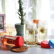 sales class국산(친환경) 마이보틀 그린티 트라이탄 보틀 제작(도매 문의 환영), 500ML 그린티 레드 무지