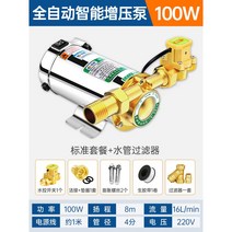 가정용 가압 펌프 수압증가 물탱크 물펌프 워터펌프 양수기 빌라 자동 옥상 급수 증압 무소음, [플래그십] 100W 자동+필터링, 1개