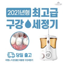 라헨느 스마일픽 가정용 구강세정기 TCLH-8320GD, 로즈골드
