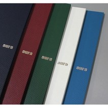 아우라 고급화일 B5 메트 홀더클리어화일 20매 feliz, 그린