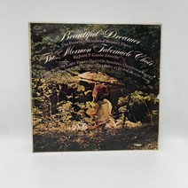 BEATIFUL DREAMER LP / 엘피 / 음반 / 레코드 / 레트로 / AA5456