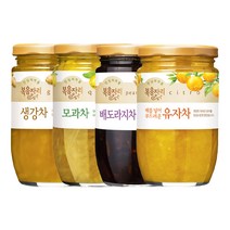 복음자리 생강차/모과차/배도라지차/유자차, 복음자리 유자차 480g X 2, 480g