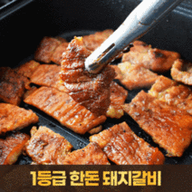 1등급 한돈 돼지 갈비 돈왕구이 냉동 진공포장 500g 원주치악산 양념 고기, 단품