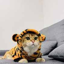 펫쓰GO 펫쓰고 임인년 호랑이 후드티 강아지옷 고양이옷 소형견 대형견 웰시코기 불독