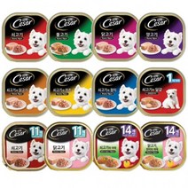 [에이치플러스몰] 강아지 습식사료 시저 캔 100g(24개), 종류:닭고기, 100g