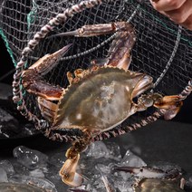 대한민국농수산 제철 꽃게 1kg 급냉 꽃게 활 꽃게 숫꽃게, [신선급냉]  암꽃게1kg