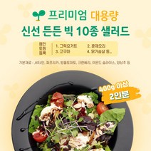 [프리미엄] 대용량 빅 샐러드& 라이스포케 15종 골라담기 [ 샐러드 배달 ], 리얼콥샐러드