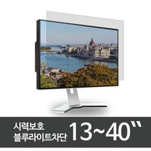 애드 21인치 모니터 블루라이트차단필름 시력보호 L-21.5W9 -국산제품