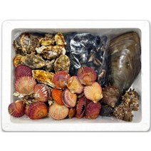 베이비망고 국내산 모듬조개세트 캠핑 필수요리 조개찜 조개구이 조개탕 2kg/4kg, 2kg