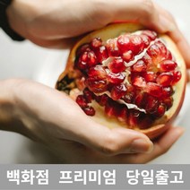 [특등급선별] 석류 5kg 석류즙 석류효능 여성호르몬음식 석류콜라겐 숙취음료 석류먹는법 석류청 석류즙효능 숙취해소제 숙취해소법 숙취두통 숙취