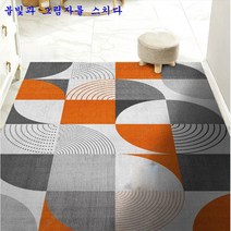 SKANDSALO 현관코일매트 미끄럼 헬스장 베란다 놀이터업소용 롤 카페트 카펫 패턴 층간소음 신발털이, 불빛과 그림자를 스치다. + 120*200