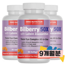 이노뉴트리션 50배농축 빌베리 3병 안토시안 영양제 천연 루테인 지아잔틴, 3개