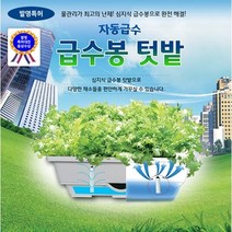 가정용 스마트 팜 집에서 야채 상추 채소 식물 키우기 시티팜 아파트 베란다 발코니 옥상 도심 실내 텃밭 가정용 미니 수경 자동급수 재배기, 텃밭화분 일반형