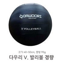 다우리 빅발리볼 경량 - 외피1 내피3 배구공, 1개