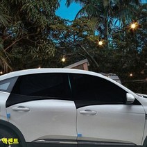 엑센트 차박 햇빛가리개 모기방충망 6종세트, RV SUV