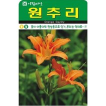 아름다운 원추리 씨앗(30립)(A0720)