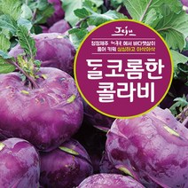 제주산 달코롬한 콜라비, 10kg
