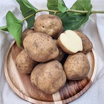 제주 구좌 대지마 햇감자 5kg 10kg 20kg 제주감자, 구좌 대지마 햇감자 5kg 대/특혼합