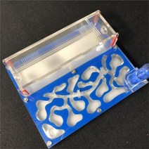 개미집 키우기 세트 150mmx110mm 테스트 튜브 수분 큰 공간 개미 둥지 개미 농장 아크릴 곤충 개미 개미 빌라 집 개미 생태 워크샵, 푸른, 중국