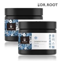 콘드로이친 플러스 복합분말 280g 2통, 없음, 2개