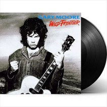 (수입LP) Gary Moore - Wild Frontier (180g), 단품