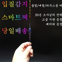 일야 민물 전자찌 스마트찌 민물낚시찌 하우스 찌 중층 수제 고부력 저부력 내림 나노 올림찌 장찌, EN-01(저부력)