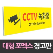 [0UK] 대형 포맥스 안내판 CCTV녹화중 포맥스 포멕스 주차장 경고판 안내판 234567EA, 상품선택