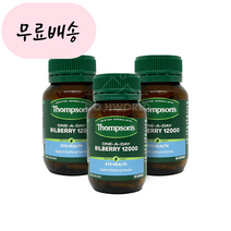 홍박스 톰슨 빌베리 12000 ONE-A-DAY 60캡슐 3개 세트 구매대행, 60정, 60개