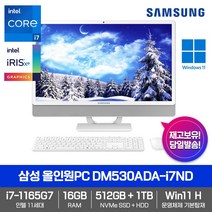 삼성 올인원PC DM530ADA-i7ND [WIN11+11세대i7-1165G7+RAM16GB+NVMeSSD512GB+HDD1TB+23.8형 FHD]가성비총알발송