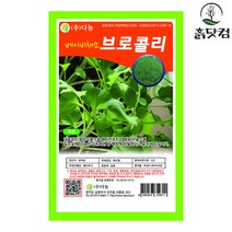 베이비 브로콜리 씨앗 10g 항암식품 베이비채소 종자 + 네임택, 단품