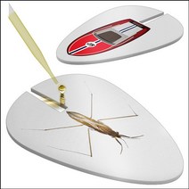 표면장력 소금쟁이보트(소금쟁이/고속보트/우주선)-10, 우주선 10인용