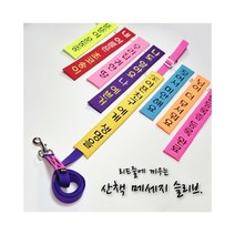 (초코송이네 커스텀)강아지 산책 메세지 슬리브, 7