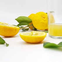 고흥 생 유자 착즙 유자즙 30포 피로회복 간에 도움 비타민 피부미용 다이어트 유자차