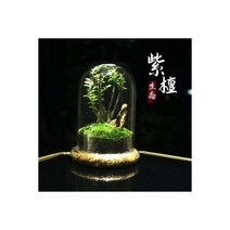 비바리움 테라리움 용기 생태 소품 가드닝 이끼 재료 코쿤 프로방스, 06
