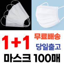 1+1 일회용 덴탈 비말차단 여름 회사 사무실 마스크, 성인용 화이트 2박스(50매+50매)