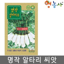 명작 알타리씨앗 2000립, 명작알타리