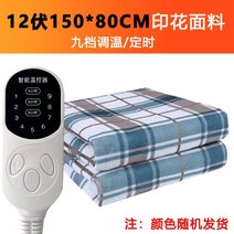 차박 전기장판 매트 방수 차량용 온열 캠핑 온열 자동차, 12V 길이 150cmx 폭80cm 9 단
