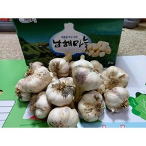 남해마늘 남해햇마늘, 1box, 10kg 대 190~210개