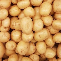 22년 국내산 햇감자, 감자 6kg / (대사이즈) 70g~100g내외