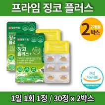코스트코 징코 빌로바 플러스 맥스 은행나무 추출물 플라보놀 배당체 ginko biloba 기억력 개선 도움 60대 70대 할머니 영양제 판토텐산 아연, 2박스