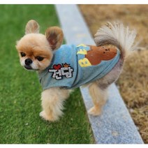 예보들 강아지이름표 애견인식표 강아지인식표 고양이인식표 강아지이름표목걸이 애견목걸이 강아지인식표목걸이 고양이목걸이, 4글자(+1000원), 핀타입, 파랑색 하트